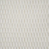 Pindler SQUIGGLE FEATHER Fabric