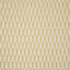 Pindler SQUIGGLE GILDED Fabric