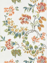 Scalamandre Kew Gardens Warp Print Multi On Ivory Fabric