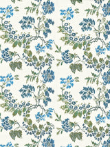 Scalamandre Kew Gardens Warp Print Blues On Ivory Fabric