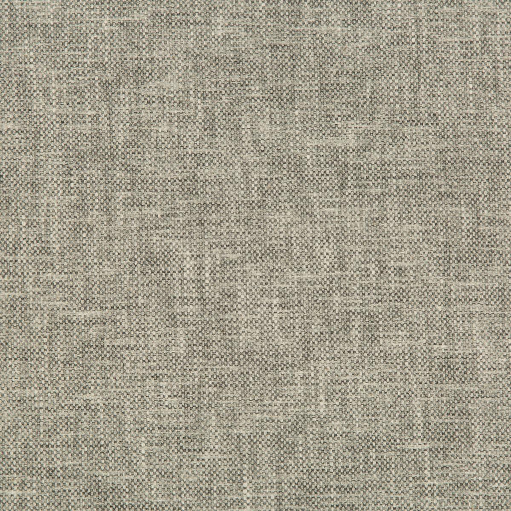 Kravet KRAVET BASICS 35249-106 Fabric
