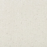 Kravet TINSELED SILVER Fabric