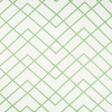 Kravet TAPELEY GARDEN Fabric