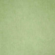 Pindler AMORI SPROUT Fabric