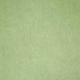 Pindler AMORI SPROUT Fabric