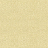 Kasmir Amadora Golden Fabric