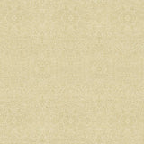 Kasmir Amadora Oatmeal Fabric