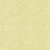 Kasmir Blake Citrus Fabric