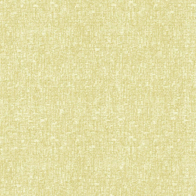 Kasmir Blake Citrus Fabric