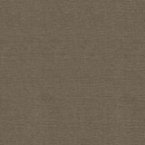 Kasmir Blake Iris Fabric