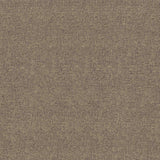 Kasmir Blake Paris Fabric