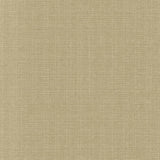 Kasmir Copenhagen Linen Fabric