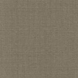 Kasmir Copenhagen Silver Lining Fabric