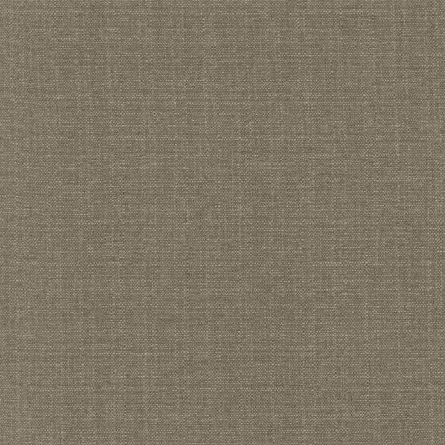 Kasmir Copenhagen Silver Lining Fabric