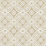 Kasmir Dreamer 55 Linen Fabric