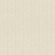 Kasmir Fever 55 Dove Fabric