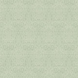 Kasmir Henna Sage Fabric