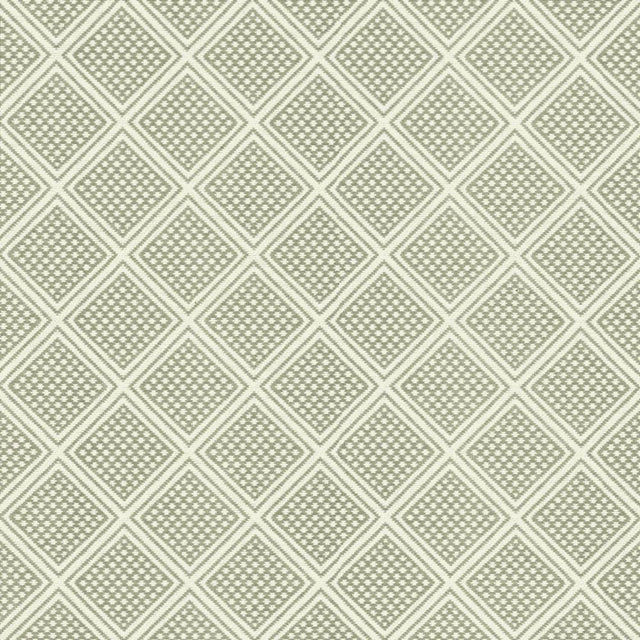 Kasmir Joinery Steam Fabric