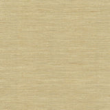 Kasmir Karma Taupe Fabric