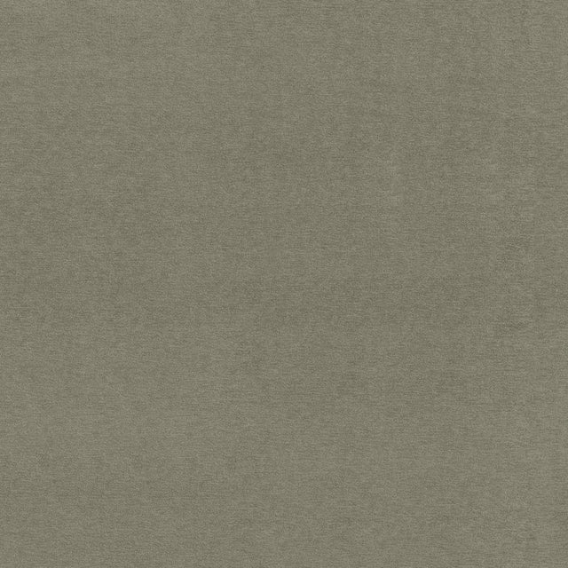 Kasmir Moscow Gray Fabric