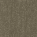 Kasmir Norwich Moleskin Fabric