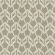 Kasmir Projection Carbon Fabric