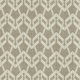 Kasmir Projection Carbon Fabric