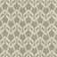 Kasmir Projection Carbon Fabric
