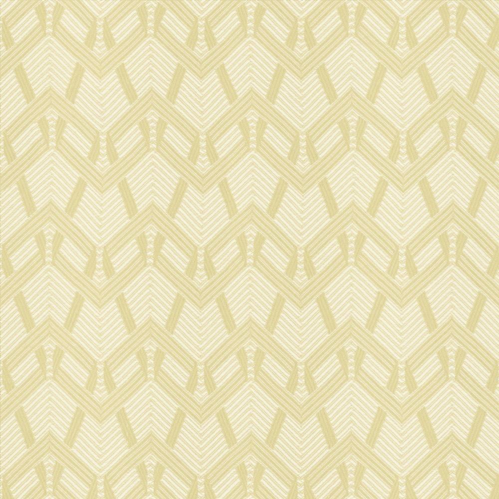 Kasmir Projection Ecru Fabric