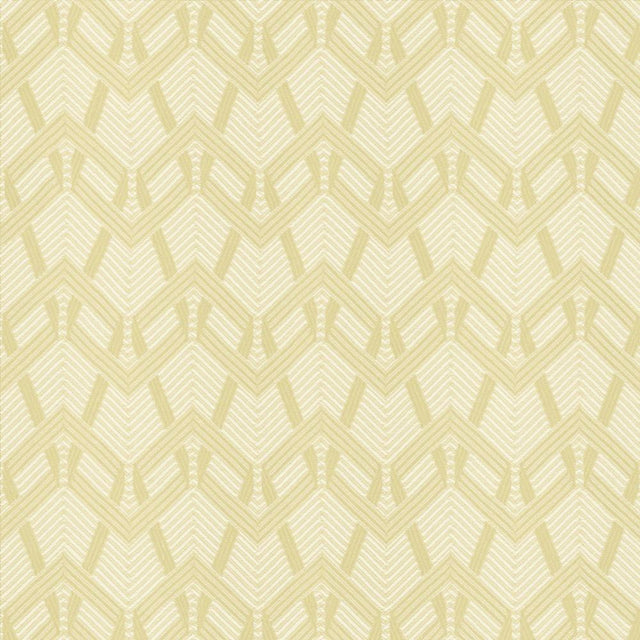 Kasmir Projection Ecru Fabric