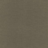 Kasmir Rouen Java Fabric