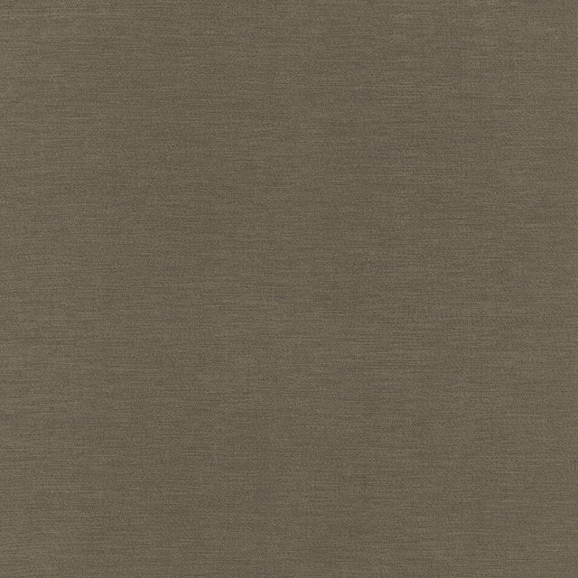 Kasmir Rouen Java Fabric