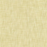 Kasmir Tao Texture Champagne Fabric