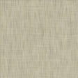 Kasmir Tao Texture Platinum Fabric