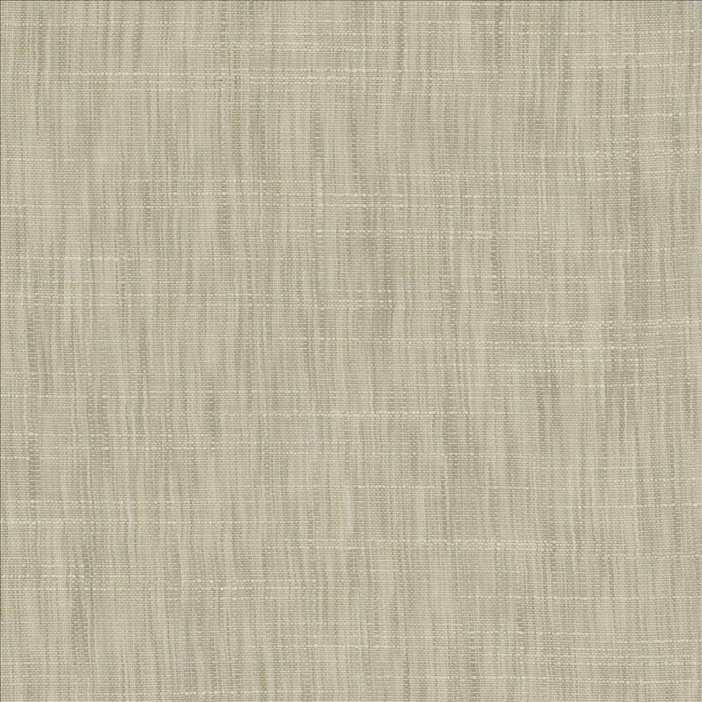 Kasmir Tao Texture Platinum Fabric