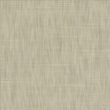 Kasmir Tao Texture Platinum Fabric
