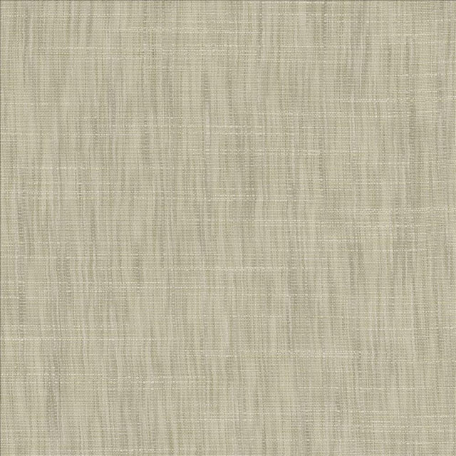Kasmir Tao Texture Platinum Fabric