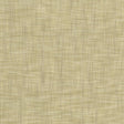 Kasmir Tao Texture Putty Fabric
