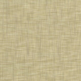 Kasmir Tao Texture Putty Fabric