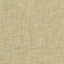 Kasmir Tao Texture Putty Fabric