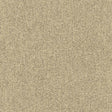 Kasmir Teatro Linen Fabric