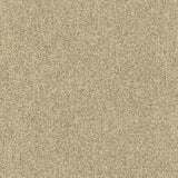 Kasmir Teatro Linen Fabric