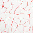 Schumacher Filigree Coral Fabric