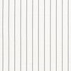 Schumacher Cavett Stripe Charcoal Fabric