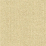 Kasmir Zenith Beach Fabric