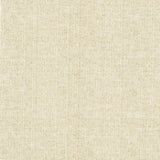 Kasmir Zenith Chalk Fabric