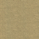 Kasmir Zenith Earth Fabric