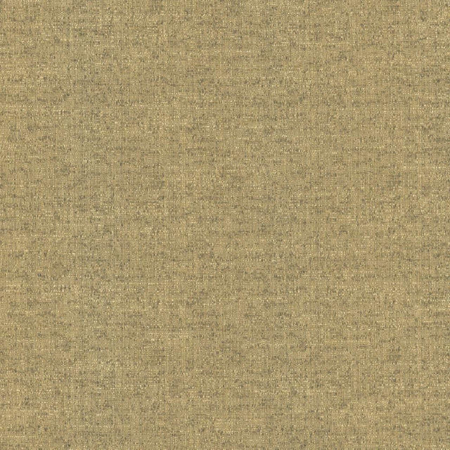 Kasmir Zenith Earth Fabric