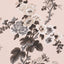 Schumacher Pyne Hollyhock Blush Wallpaper