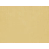 Brunschwig & Fils JOUR BUTTERSCOTCH Drapery Fabric